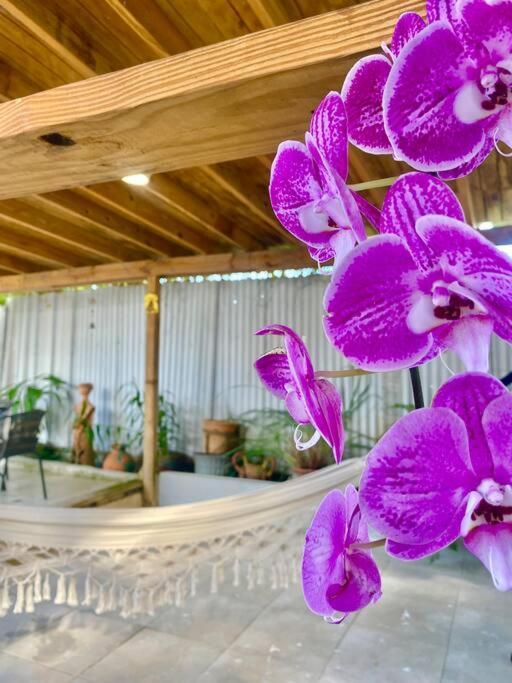 Casa de férias 5 Min From Airport Sju Secret Garden Pr San Juan